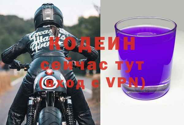 индика Вяземский
