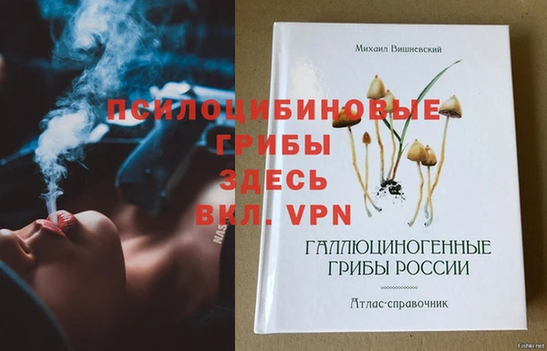 mdpv Волоколамск